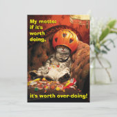 Kat onder snoepbucket kaart (Staand voorkant)