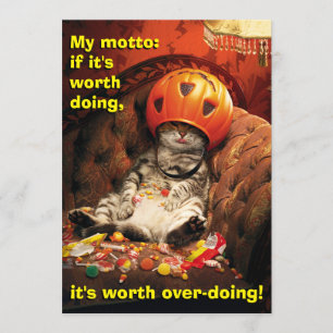 Kat onder snoepemmer kaart