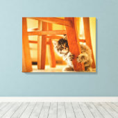Kat onder voorzitterschap canvas afdruk (Insitu (Houten vloer))