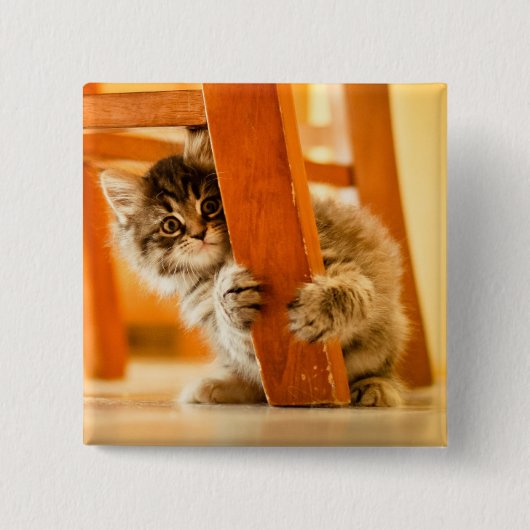 Kat onder voorzitterschap vierkante button 5,1 cm (Voorkant)