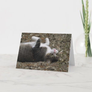 Kat ondersteboven Paas Kaart