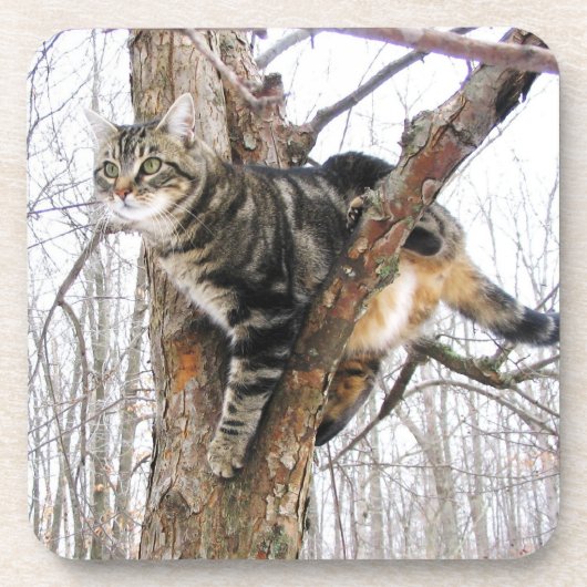 Kat Onderzetter (Voorkant)