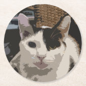 Kat Onderzetter (Voorkant)