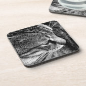 Kat-Onderzetters Bier Onderzetter (Linkerzijde)