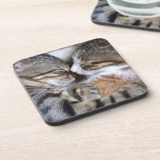 Kat-Onderzetters Bier Onderzetter (Linkerzijde)