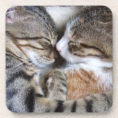 Kat-Onderzetters Bier Onderzetter (Voorkant)