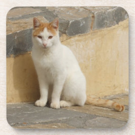 Kat-Onderzetters Onderzetter