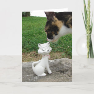 Kat, ontmoeten Kat Kaart