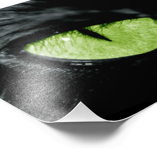 Kat oog foto afdruk (Hoek)