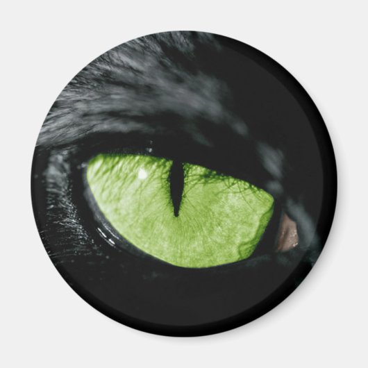 Kat oog magneet (Voorkant)