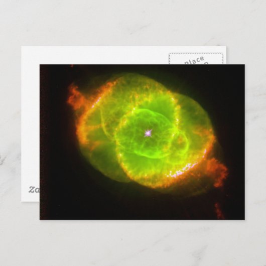 Kat-oog Nevel Briefkaart (Voorkant / Achterkant)