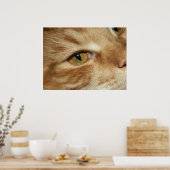 Kat oog poster (Keuken)