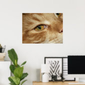 Kat oog poster (Thuiskantoor)