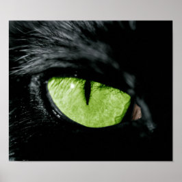 Kat oog poster
