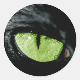 Kat oog ronde sticker