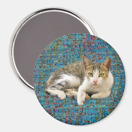 Kat op abstracte achtergrond magneet (Voorkant / Achterkant)