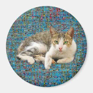 Kat op abstracte achtergrond magneet