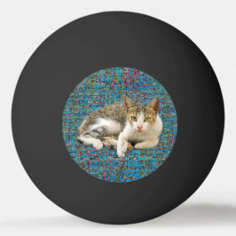 Kat op abstracte achtergrond pingpongbal