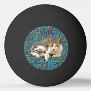 Kat op abstracte achtergrond pingpongbal