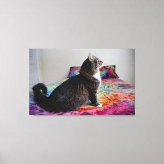 Kat op bed Uitgerekt Canvas Print