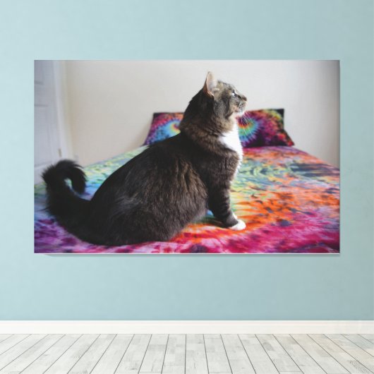 Kat op bed Uitgerekt Canvas Print (Insitu (Houten vloer))