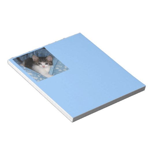 Kat op blauw notitieblok (Schuin)