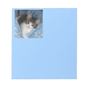 Kat op blauw notitieblok