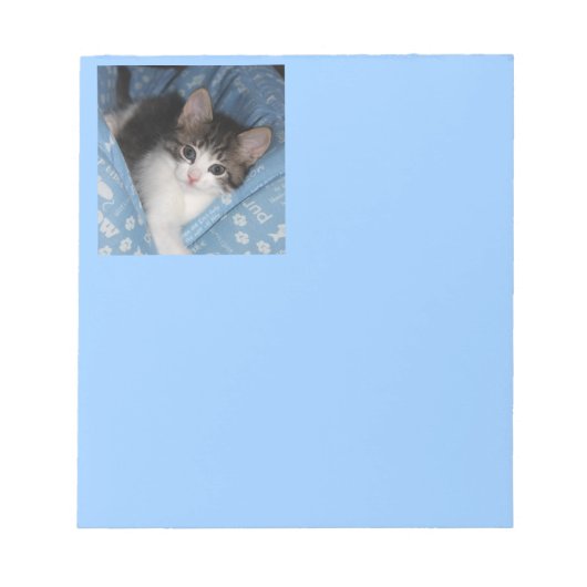 Kat op blauw notitieblok (Voorkant)