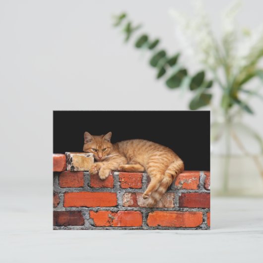 Kat op Brick Wall Briefkaart (Staand voorkant)