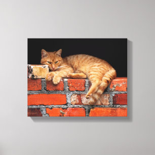 Kat op Brick Wall Canvas Afdruk