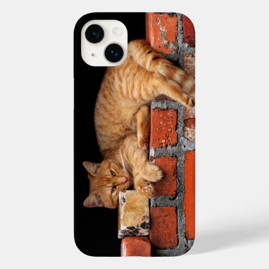 Kat op Brick Wall Case-Mate iPhone Case (Achterkant)