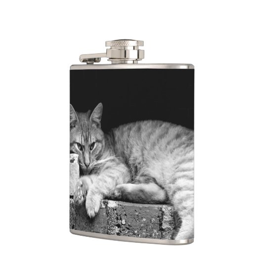 Kat op Brick Wall Heupfles (Links)