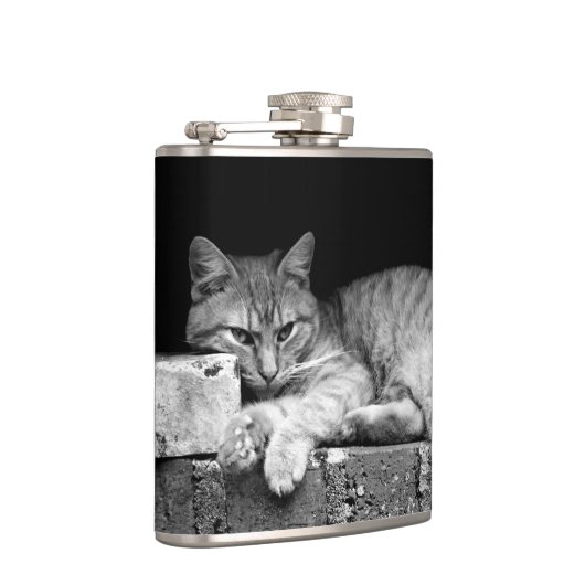 Kat op Brick Wall Heupfles (Rechts)