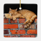 Kat op Brick Wall Keramisch Ornament (Achterkant)
