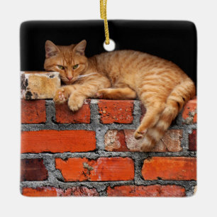 Kat op Brick Wall Keramisch Ornament