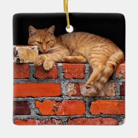 Kat op Brick Wall Keramisch Ornament (Voorkant)