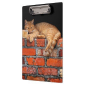 Kat op Brick Wall Klembord (Links)
