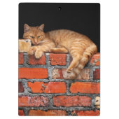 Kat op Brick Wall Klembord (Achterkant)