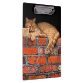 Kat op Brick Wall Klembord (Rechts)