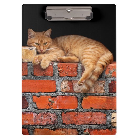 Kat op Brick Wall Klembord (Voorkant)