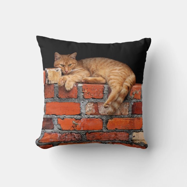 Kat op Brick Wall Kussen (Voorkant)