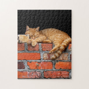 Kat op Brick Wall Legpuzzel