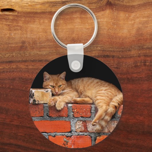 Kat op Brick Wall Sleutelhanger (Voorkant)