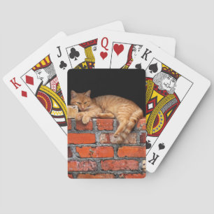 Kat op Brick Wall Speelkaarten