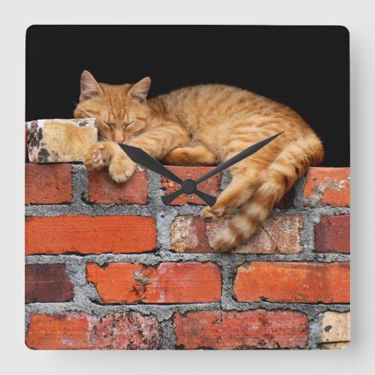 Kat op Brick Wall Vierkante Klok (Voorkant)