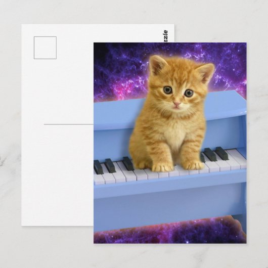 Kat op de blauwe piano briefkaart (Voorkant / Achterkant)