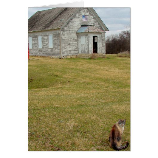 Kat op de school (Voorkant)