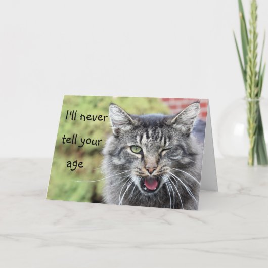 Kat op de verjaardag van de heuvel kaart (Voorkant)