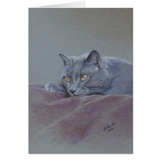 Kat op deken, gewoon relaxerend, mooie kunst