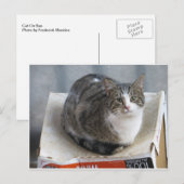 Kat op doos briefkaart (Voorkant / Achterkant)